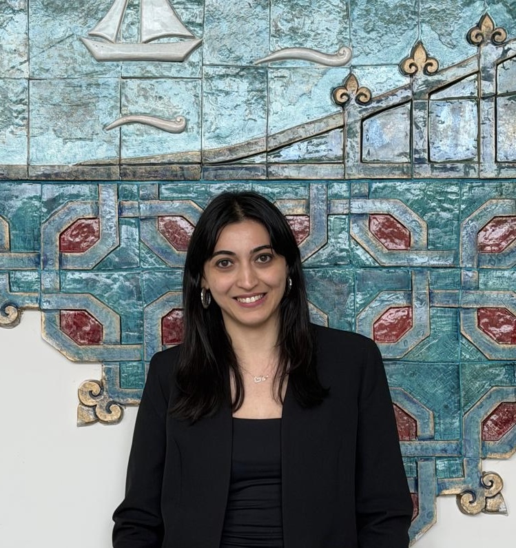 Perlin Naz Cömert