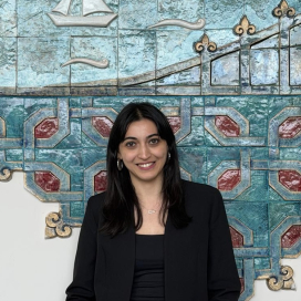 Arş. Gör. Dr. Perlin Naz CÖMERT
